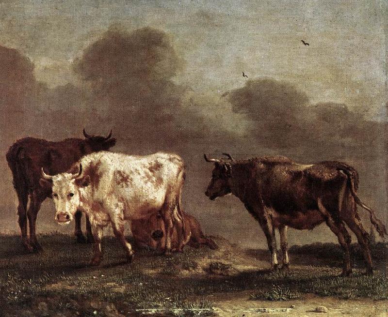 POTTER, Paulus Cows in a Meadow af Spain oil painting art